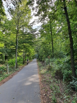 Plänterwald 3920