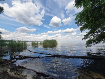 Müggelsee 2521_09