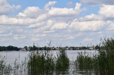 Müggelsee 2521_11