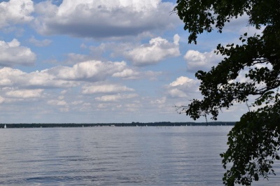 Müggelsee 2521_12