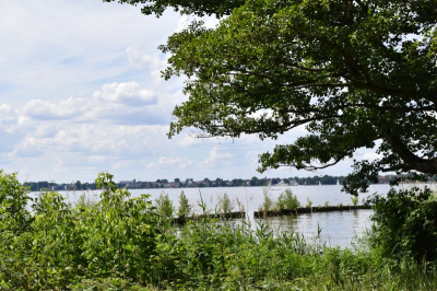 Müggelsee 2521_17