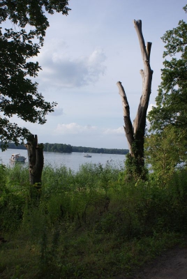 Tegler See_09