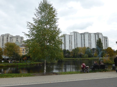 Segeluchbecken Märkisches Viertel Berlin10.13