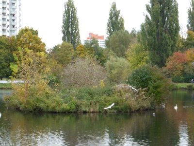 Segeluchbecken Märkisches Viertel Berlin10.13_04