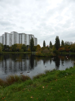 Segeluchbecken Märkisches Viertel Berlin10.13_09