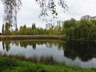 Segeluchbecken Märkisches Viertel Berlin10.13_13