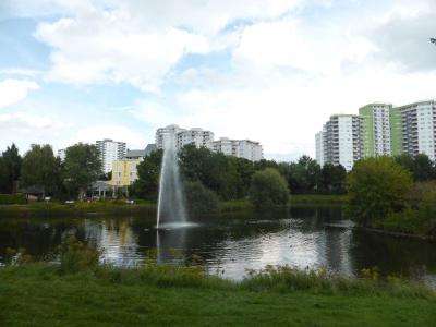 Seggeluchbecken Märkisches Viertel 3617_03