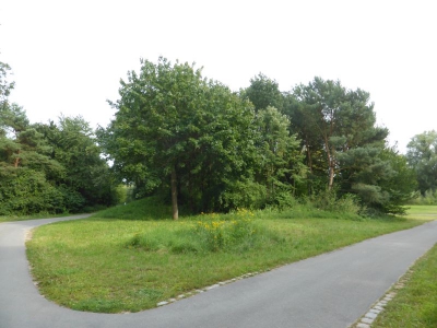Spekte Viertel 3117_17