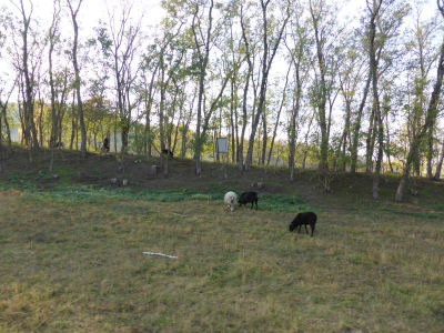 Natur- und Erholungsgebiet Hahneberg Staaken Berlin 4415_02