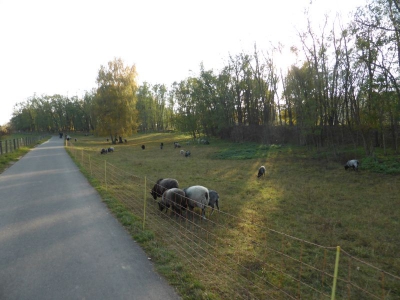 Natur- und Erholungsgebiet Hahneberg Staaken Berlin 4415_03