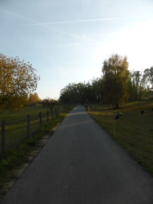 Natur- und Erholungsgebiet Hahneberg Staaken Berlin 4415_04