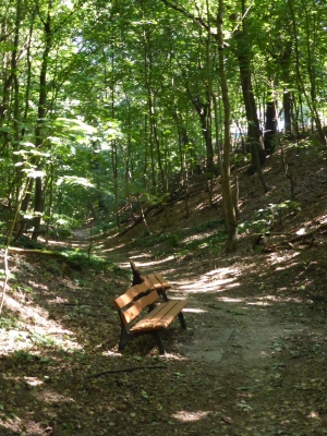 Jaczo Schlucht 3115_05