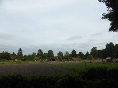 Spandauer Forst 3217_12