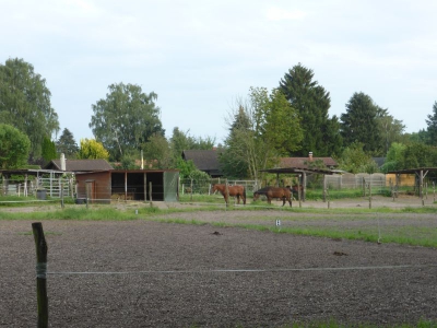 Spandauer Forst 3217_14