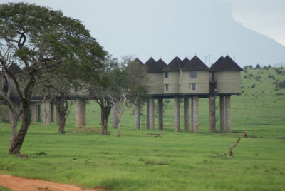 Sarova Salt Lick Lodge O18