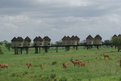 Sarova Salt Lick Lodge O18_04
