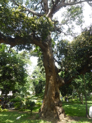 The Uhuru Gardens18_09