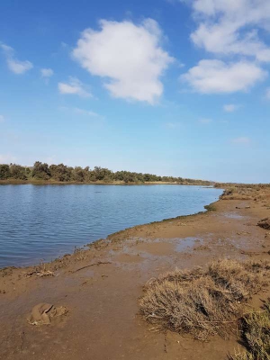 Fluss Oued Massa Marokko 3816_13