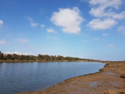 Fluss Oued Massa Marokko 3816_14