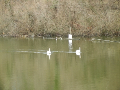 Plötzensee_03