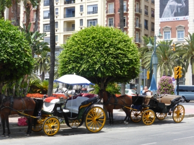 Altstadt Malaga Spanien 2515_06