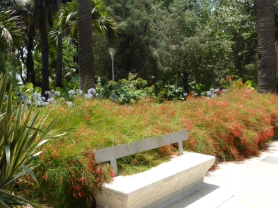 Botanischer Garten Paseo Parque Malaga Spanien 2515_07