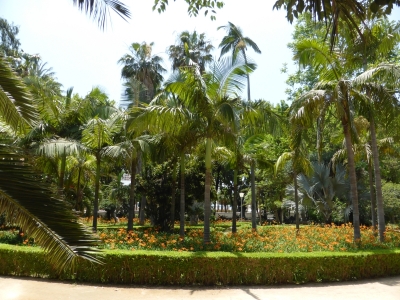 Botanischer Garten Paseo Parque Malaga Spanien 2515_12