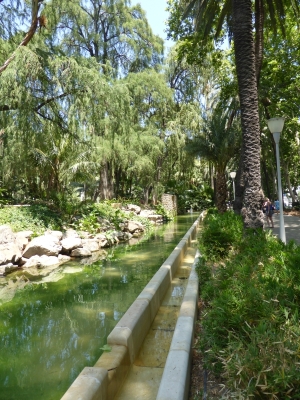 Botanischer Garten Paseo Parque Malaga Spanien 2515_21