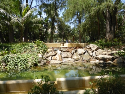Botanischer Garten Paseo Parque Malaga Spanien 2515_22