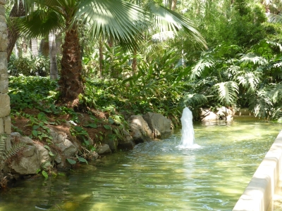 Botanischer Garten Paseo Parque Malaga Spanien 2515_23