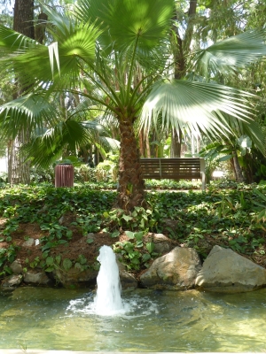 Botanischer Garten Paseo Parque Malaga Spanien 2515_24