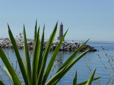 Puerto Deportivo Jose Banus Marbella Malaga Spanien 2515_11