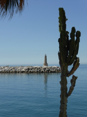 Puerto Deportivo Jose Banus Marbella Malaga Spanien 2515_17