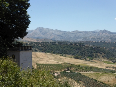 Altstadt Ronda Malaga Spanien 2515_46