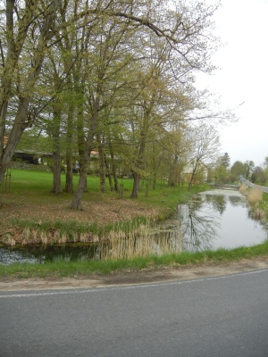 Radweg Stegelitz-Prenzlau_04