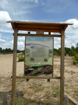 Schönower Heide bei Bernau 2714_07