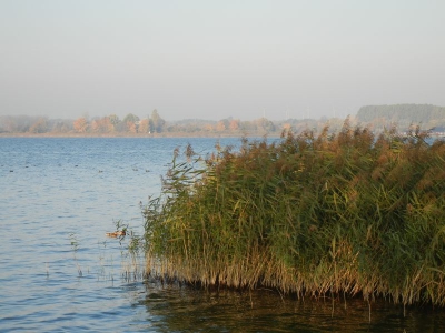 Unteruckersee Prenzlau_04