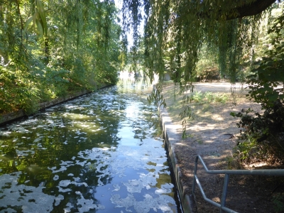 Großer Tiergarten 3918_17