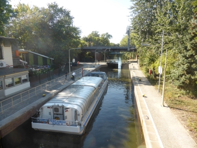 Großer Tiergarten 3918_21