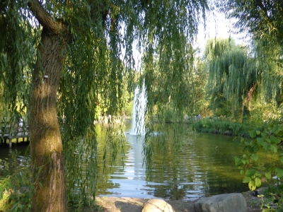 Volkspark Friedrichshain 3616_04