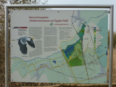 Niedermoorwiesen Tegler Fließ1314_05