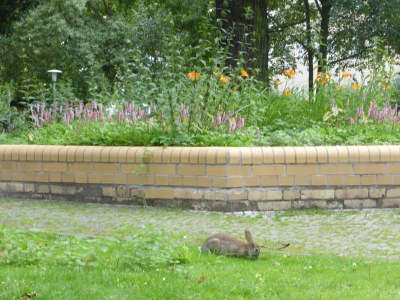 Großsiedlung Siemensstadt 2917_18
