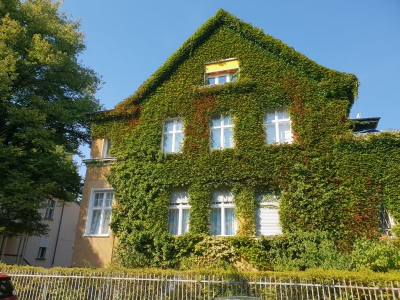 Villenkolonie Neu Westend 3918_06