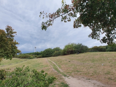 Görlitzer Park 3920