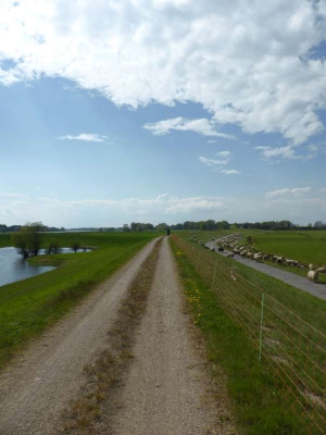 Elberadweg Lenzen-Dömitz 1815_05