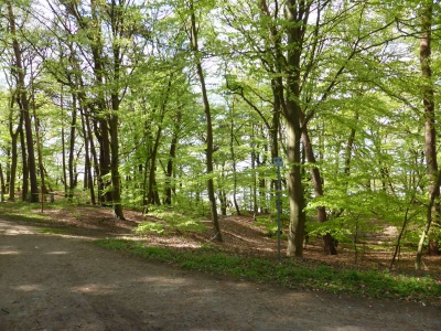 Elberadweg Lauenburg-Hamburg 1815_02