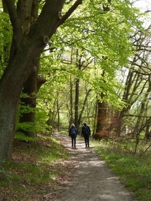 Elberadweg Lauenburg-Hamburg 1815_07