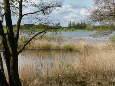 Elberadweg Lauenburg-Hamburg 1815_11