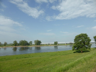 Elbdeich Wittenberge 1518_08