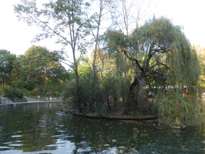 Volkspark Friedrichshain 3616_16